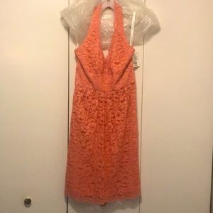 Brand new halter dress